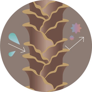 キューティクルが剥がれ、パサついた状態のイメージ